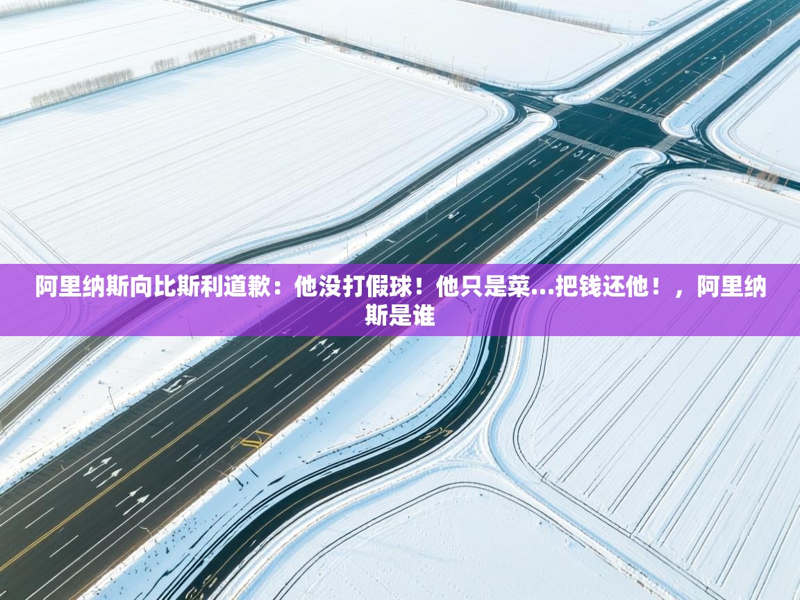 爱游戏娱乐-阿里纳斯向比斯利道歉：他没打假球！他只是菜…把钱还他！，阿里纳斯是谁  第4张