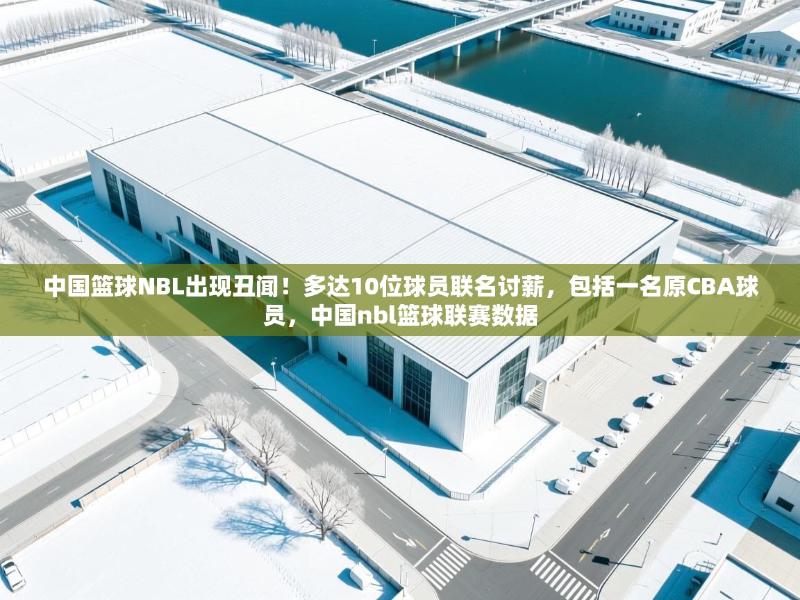 爱游戏体育入口app-中国篮球NBL出现丑闻!多达10位球员联名讨薪,包括一名原CBA球员,中国nbl篮球联赛数据 第1张
