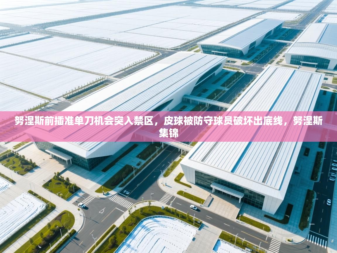 爱游戏影视-努涅斯前插准单刀机会突入禁区,皮球被防守球员破坏出底线,努涅斯集锦 第2张