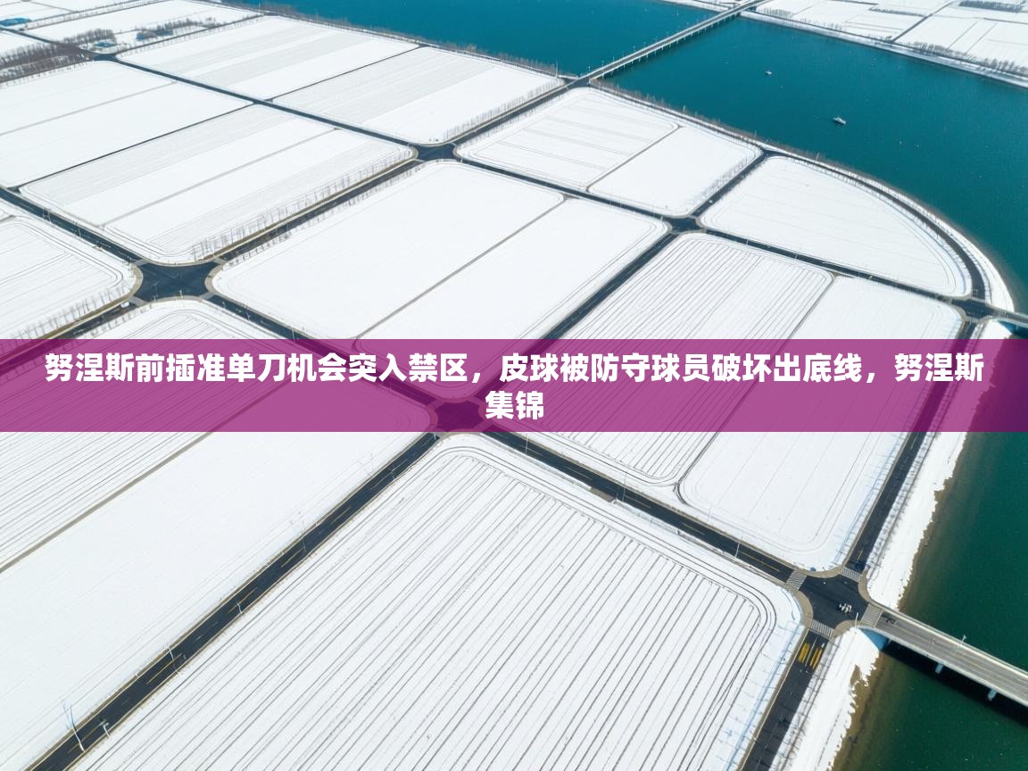爱游戏影视-努涅斯前插准单刀机会突入禁区,皮球被防守球员破坏出底线,努涅斯集锦 第1张