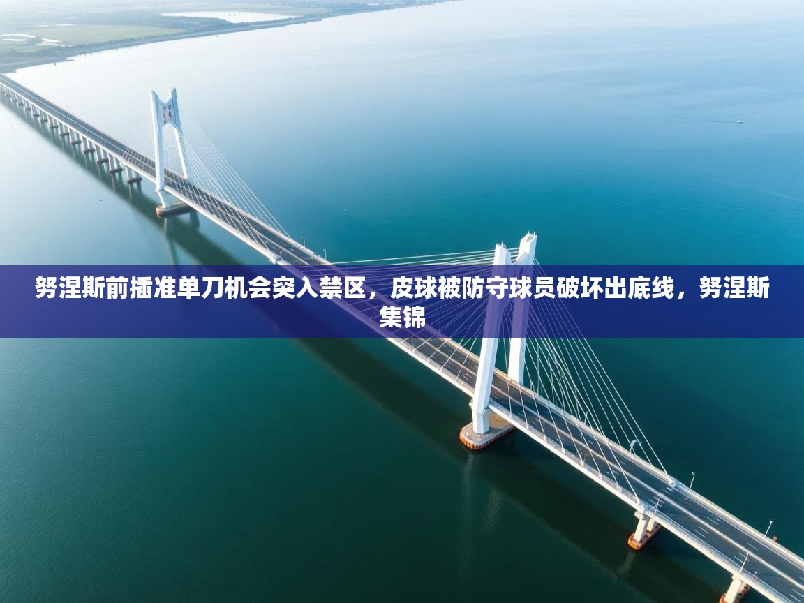 爱游戏影视-努涅斯前插准单刀机会突入禁区,皮球被防守球员破坏出底线,努涅斯集锦 第3张