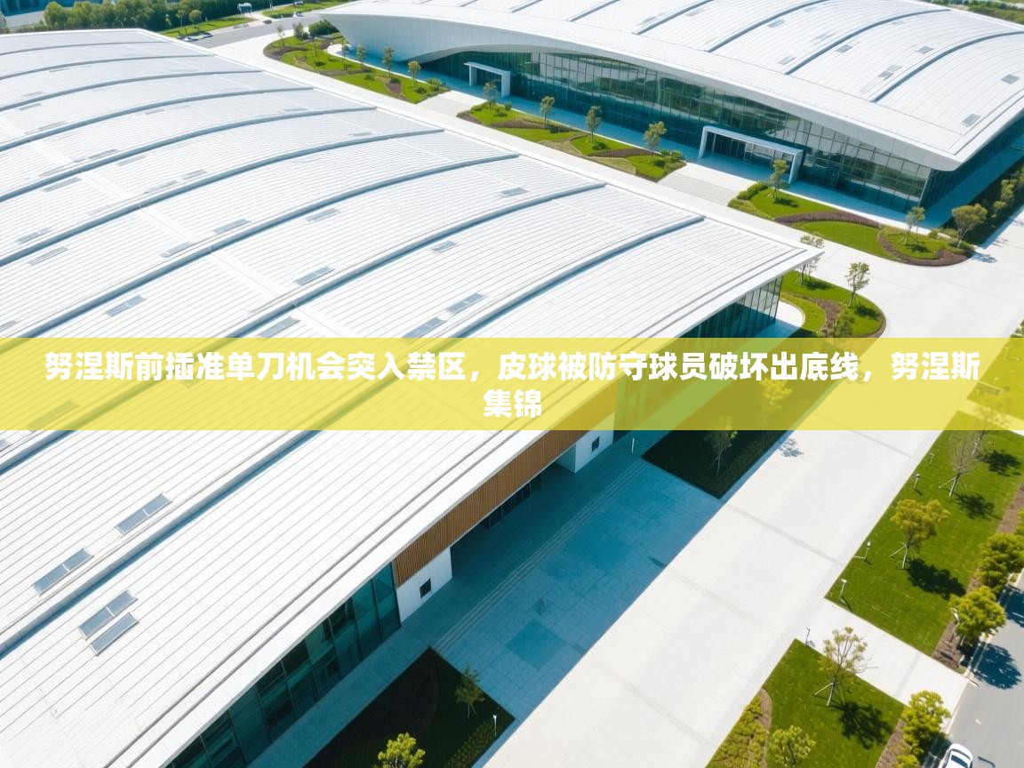 爱游戏影视-努涅斯前插准单刀机会突入禁区,皮球被防守球员破坏出底线,努涅斯集锦 第4张