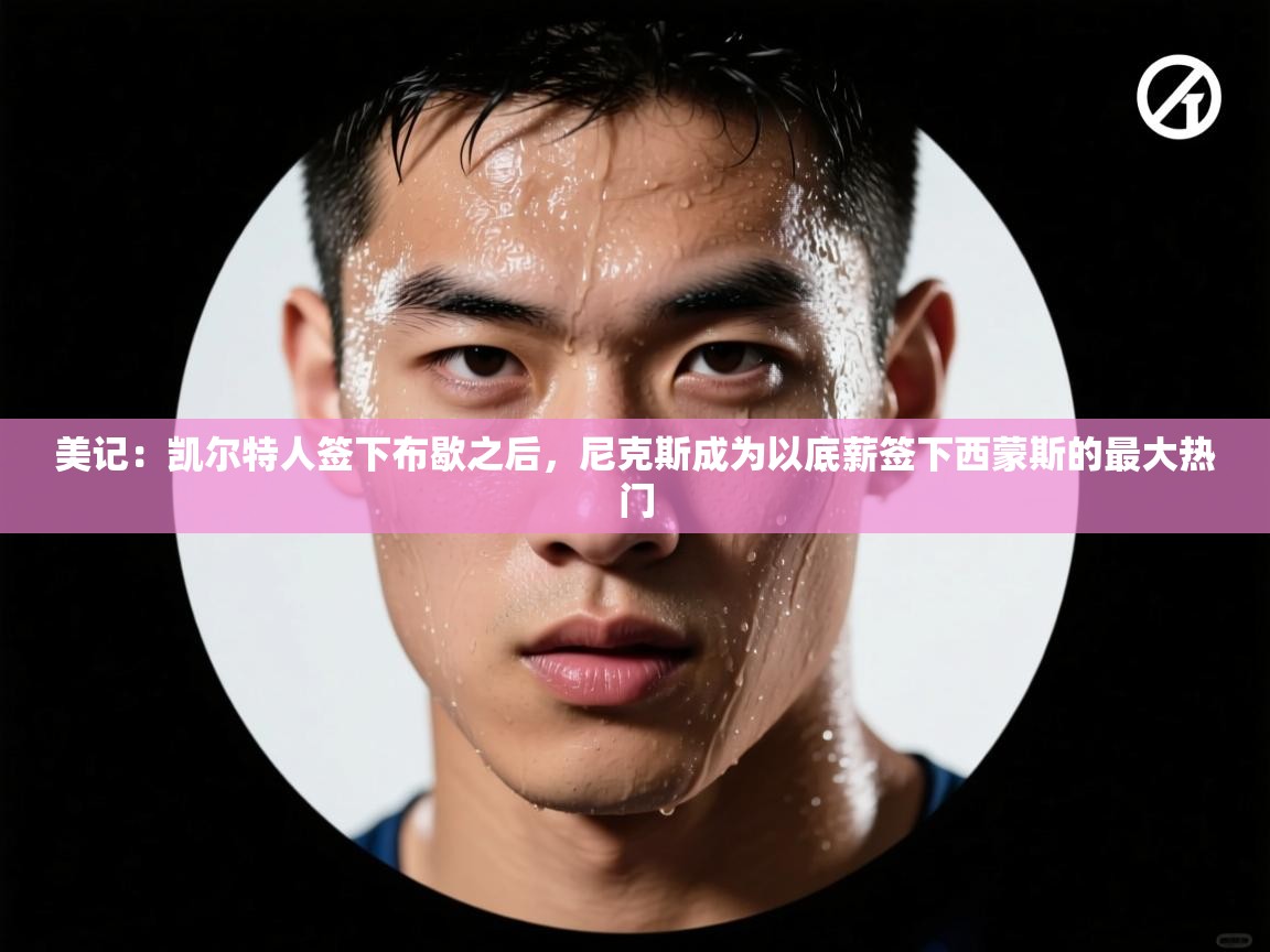 爱游戏体育赛事-美记：凯尔特人签下布歇之后，尼克斯成为以底薪签下西蒙斯的最大热门  第2张