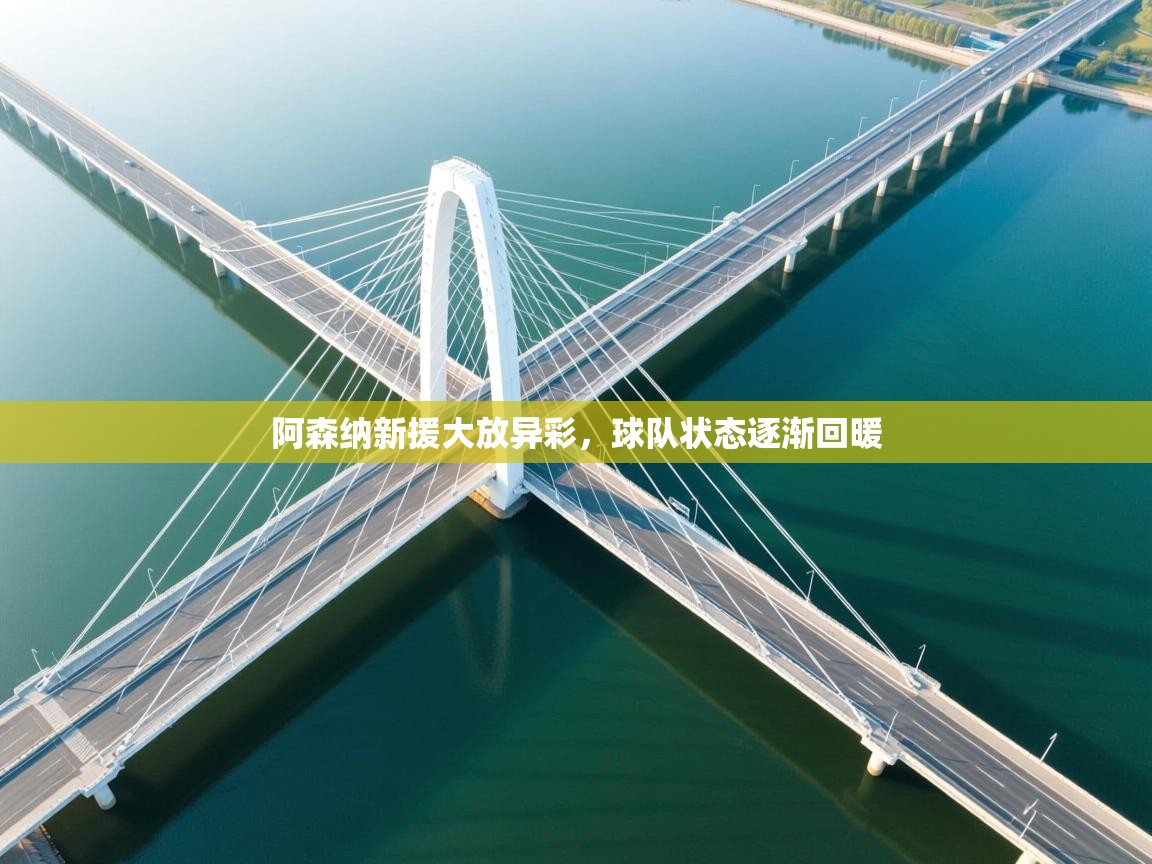 爱游戏体育官网-阿森纳新援大放异彩,球队状态逐渐回暖 第1张