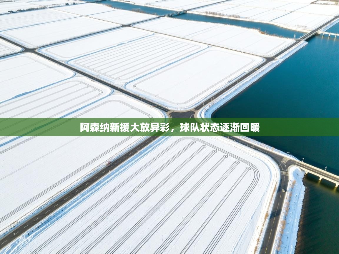 爱游戏体育官网-阿森纳新援大放异彩,球队状态逐渐回暖 第4张