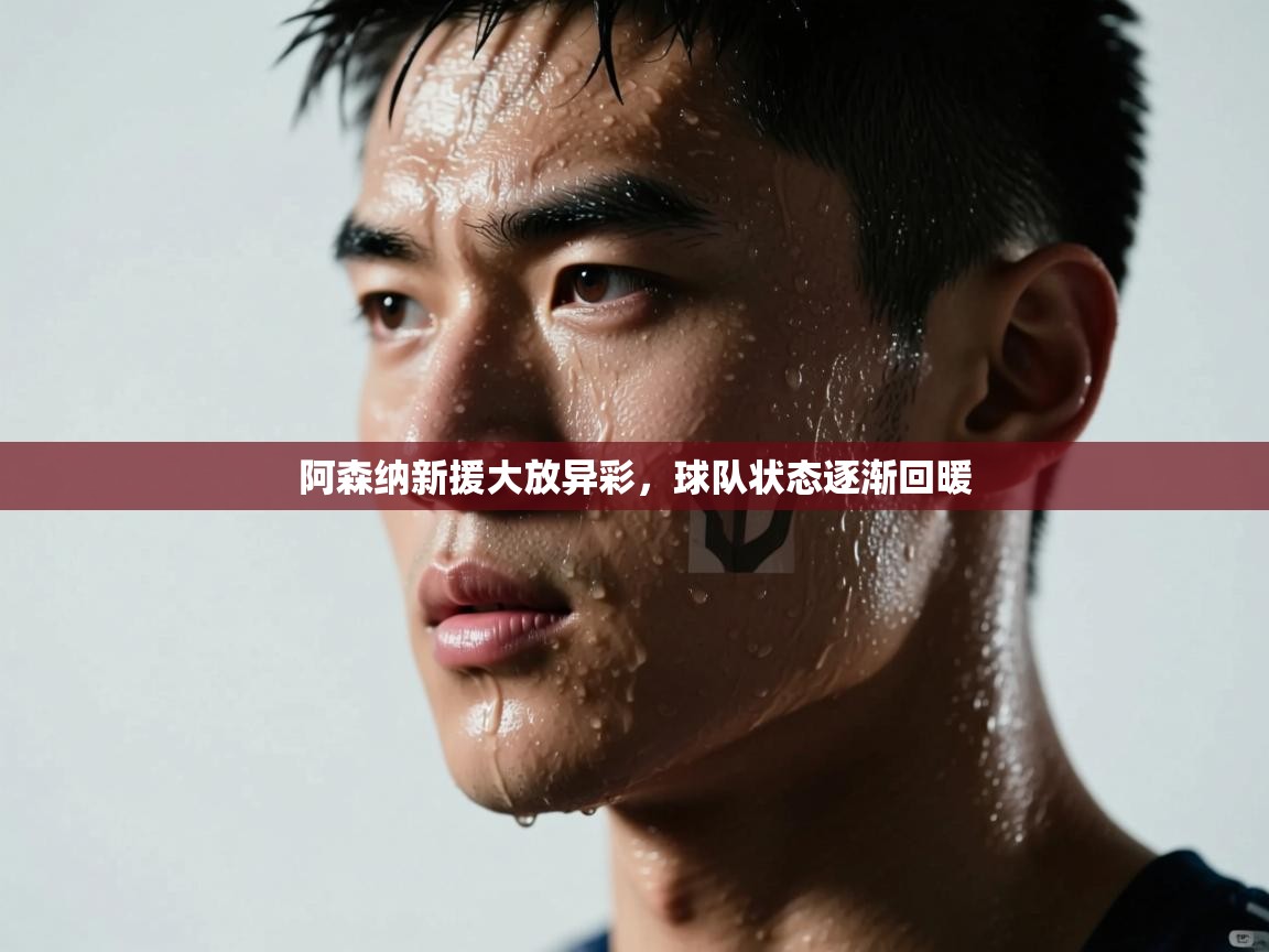 爱游戏体育官网-阿森纳新援大放异彩,球队状态逐渐回暖 第2张